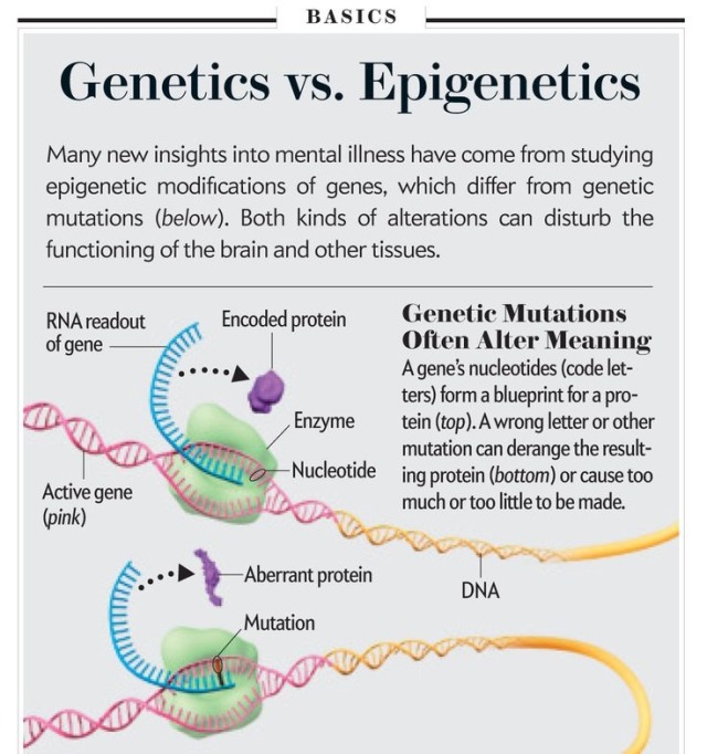 BioScience