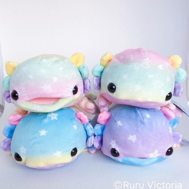 Mochi Puni Axolotl finally are here! Cutest ever!... - RURU VICTORIA