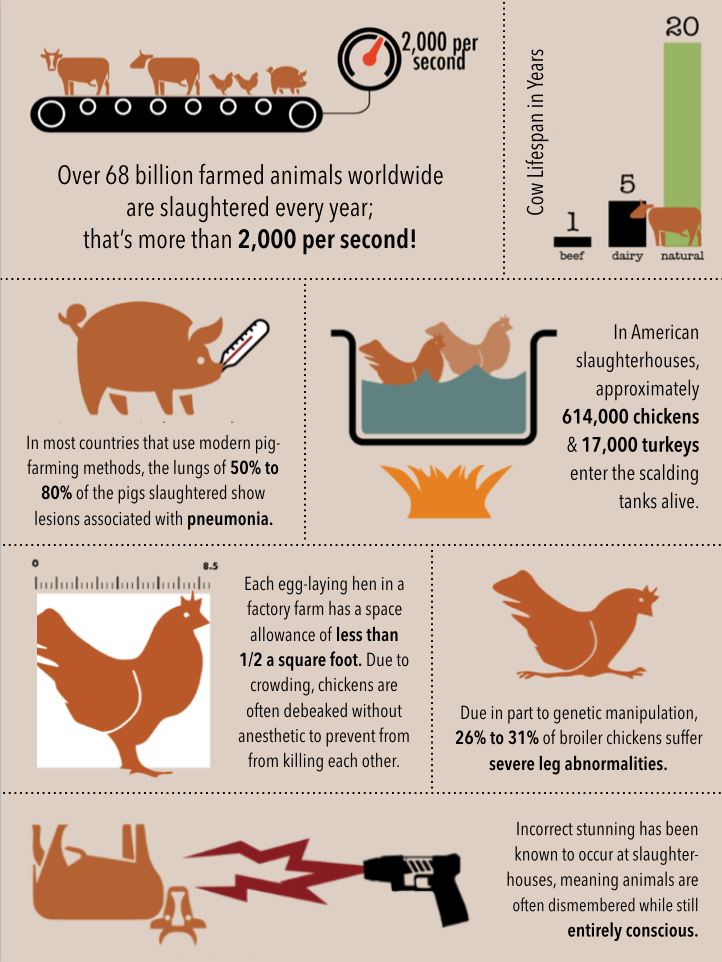 Gentle Barn Adventures Here Is An Infographic That I Made And