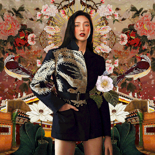 gilded butterflies ((tae ha)) Bbc79ffe5bf03d3be9a5488d63e716951ee503b1
