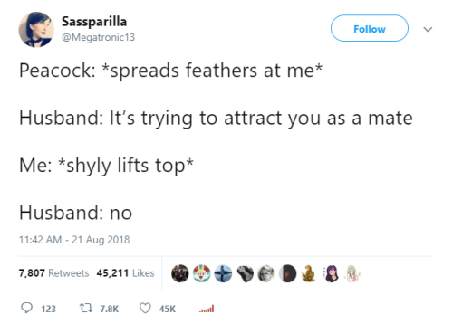 whitepeopletwitter:Bestiality is okay when peacocks are...