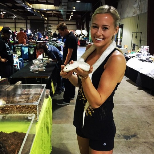 sierrablaircoyle:My new best friend the pine snake at...