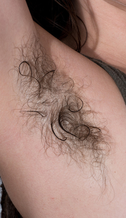 lovemywomenhairy:I am absolutely loving the awesome pits and...