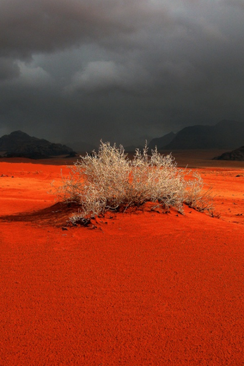 Art 42