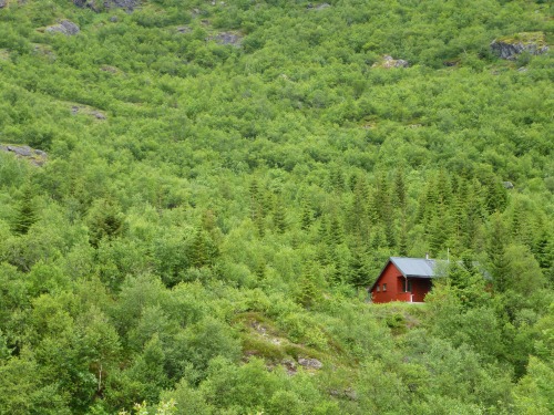 These Cabins Make Living In The Middle Of Nowhere Look Beautiful