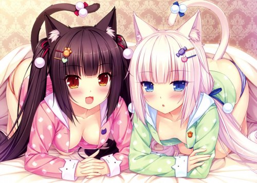 Neko Database