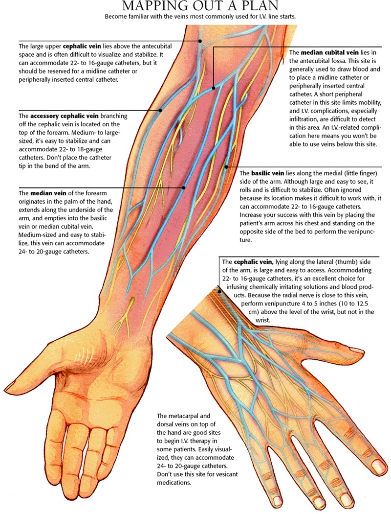 IV Initiation Tips The Making Of A Nurse