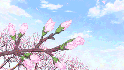 Featured image of post Anime Flower Field Aesthetic Anime wallpaper anime fan illustration anime drawings art anime artwork
