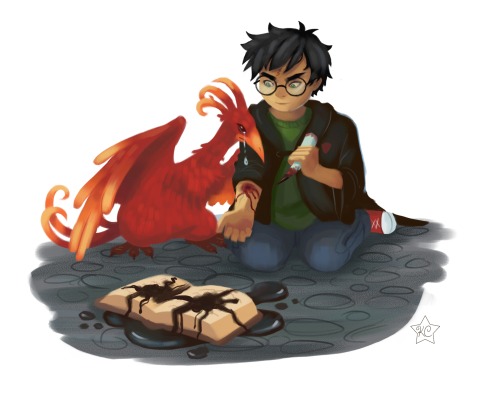 kteacrumpet:Harry and Fawkes