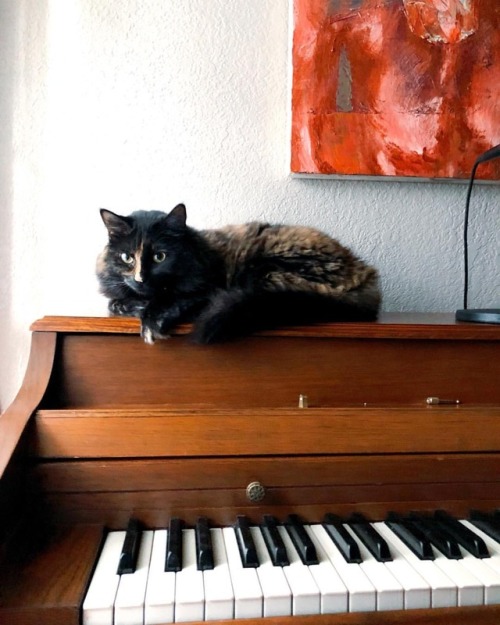 Phoebe was a classical pianist in another life ...