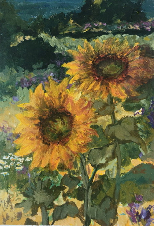 auringonkakkanen:sunflower painting by me 