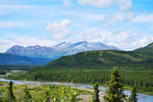 bartlebeast:7.18.18 // road to denali // AK