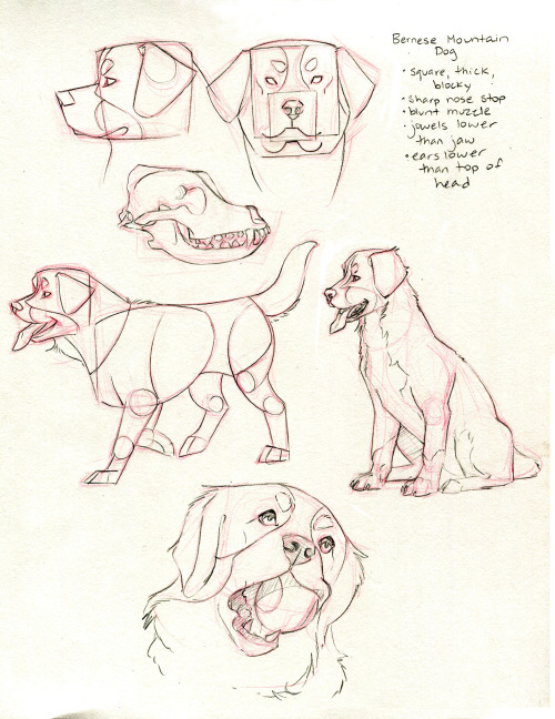 taigordonart:More canine requests! Thanks...