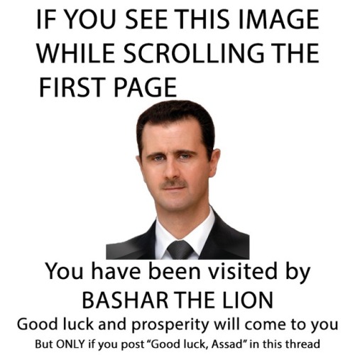 fasc-against-the-machine:Good luck, Assad