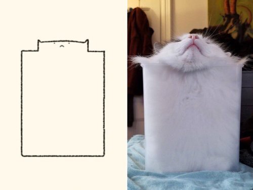 catasters