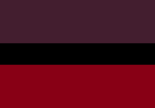 inclusive-flag-edits:Pride Flags inspired by Vampires!Please...