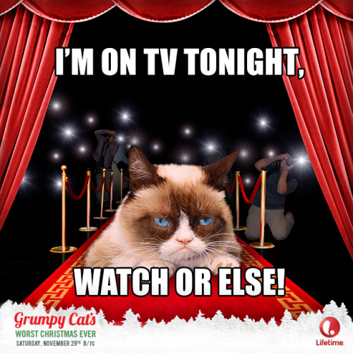 Grumpy Cat’s Worst Christmas Ever starts tonight at 8/7c...