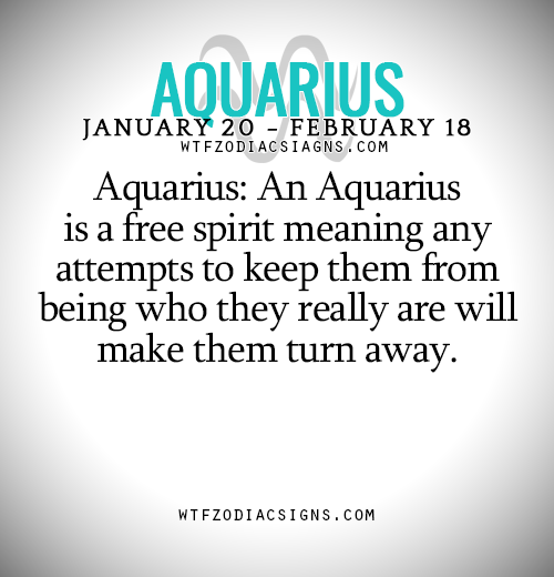 horoscope signs meaning aquarius
