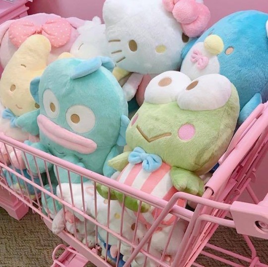 Sanrio On Tumblr