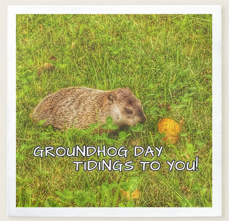 Groundhog Day napkins
