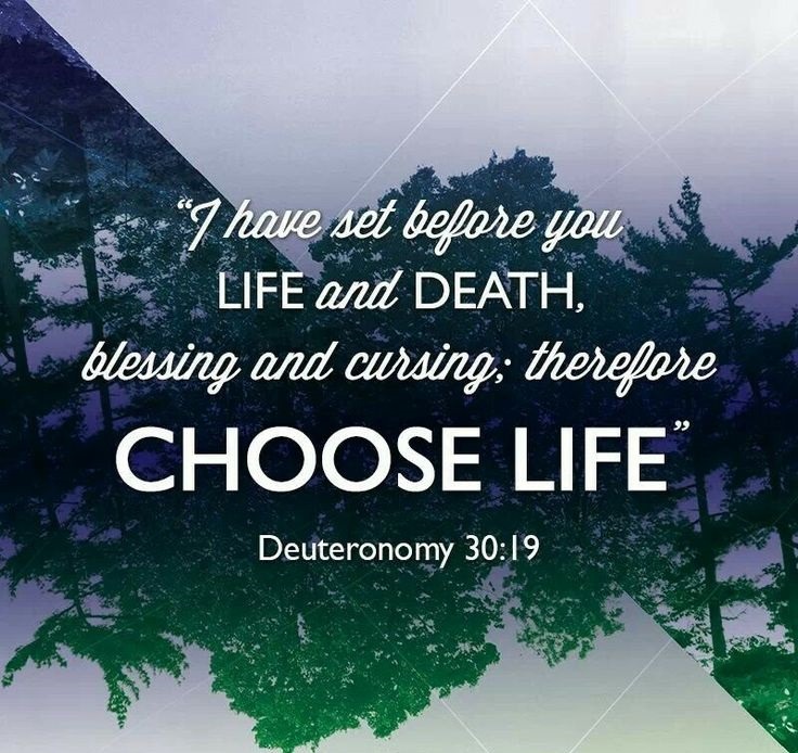 The Living... — faithful-in-christ: Deuteronomy 30:19 (NKJV) I...