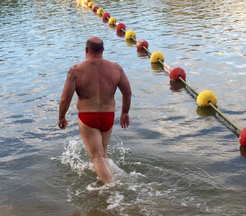 speedochubby:Land Lord