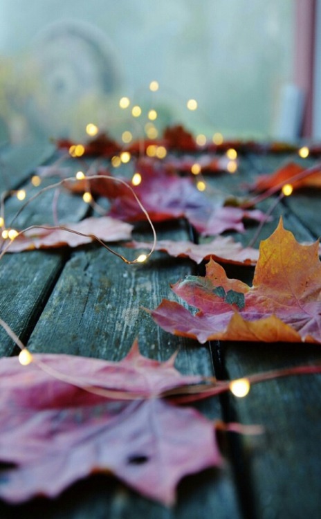 cute fall background | Tumblr