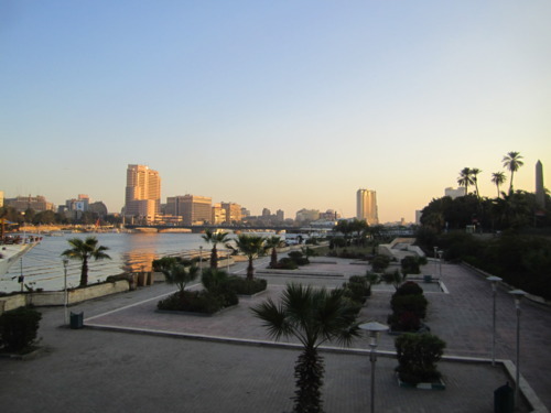 Cairobserver — Zamalek Waterfront