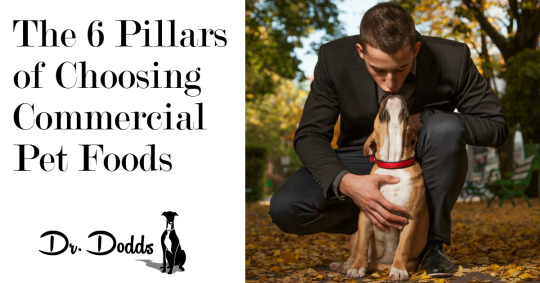 The 6 Pillars of Choosing Commercial Pet Foods