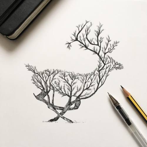 Trees of the forest, Alfred Basha