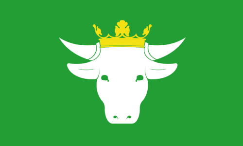 Design for Brecon (former seat of a kingdom now cow market town) flags vexillology