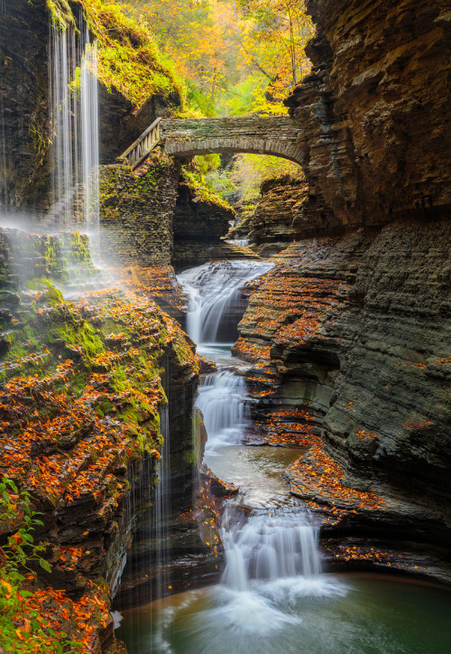 coiour-my-world:Middle Earth, or up state New York