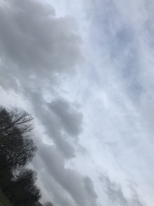 ozmiracle