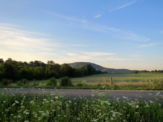 Looking across the road. I have lots of sunrise pictures and I’ll probably get back to them at some point.