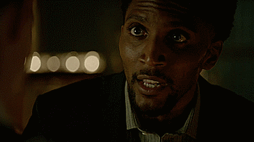 bonniebirddoesgifs