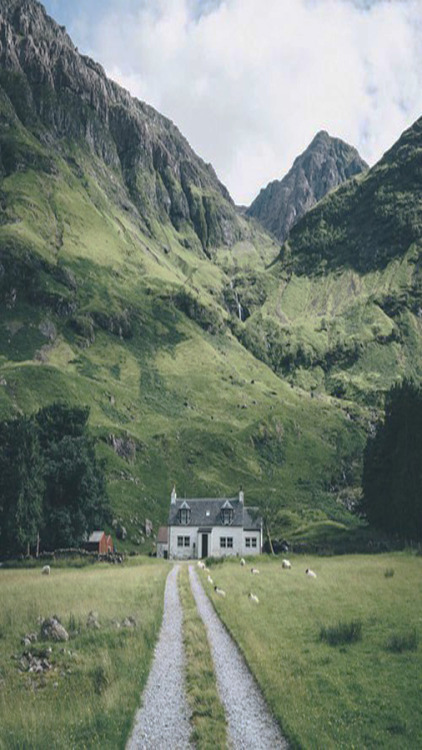 alockscreen:NATURE LOCKSCREENSlike or reblog if you save,...