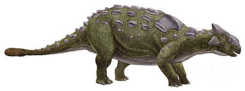 green ankylosaurus