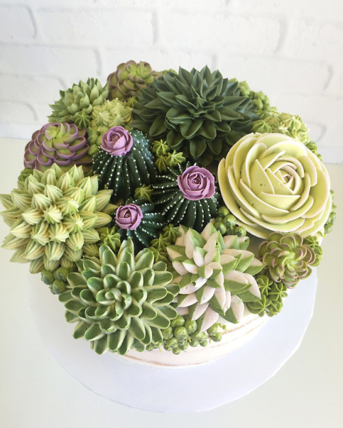 flowartstation:Succulents Decorate Cakes byLeslie Vigil