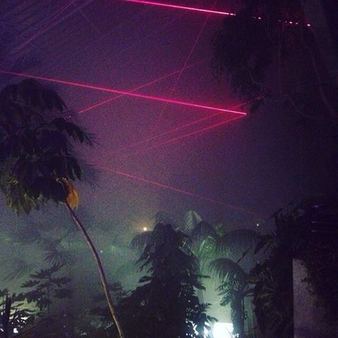 retrowave retro aesthetic aesthetics palm trees lasers neon lights night vhs palms aesthetically pleasing aesthetically beautiful vaporwave stolen