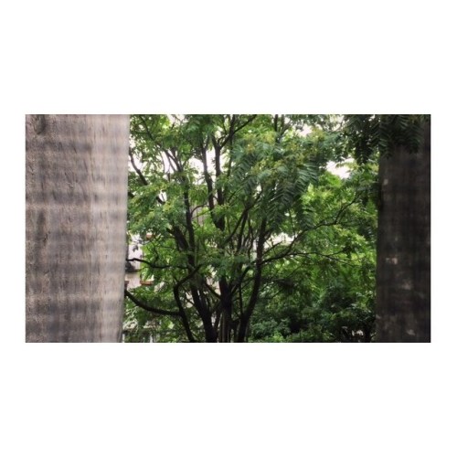 photomixedtapes
