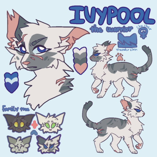 warrior cats warriorcats warriors ivypool thunderclan