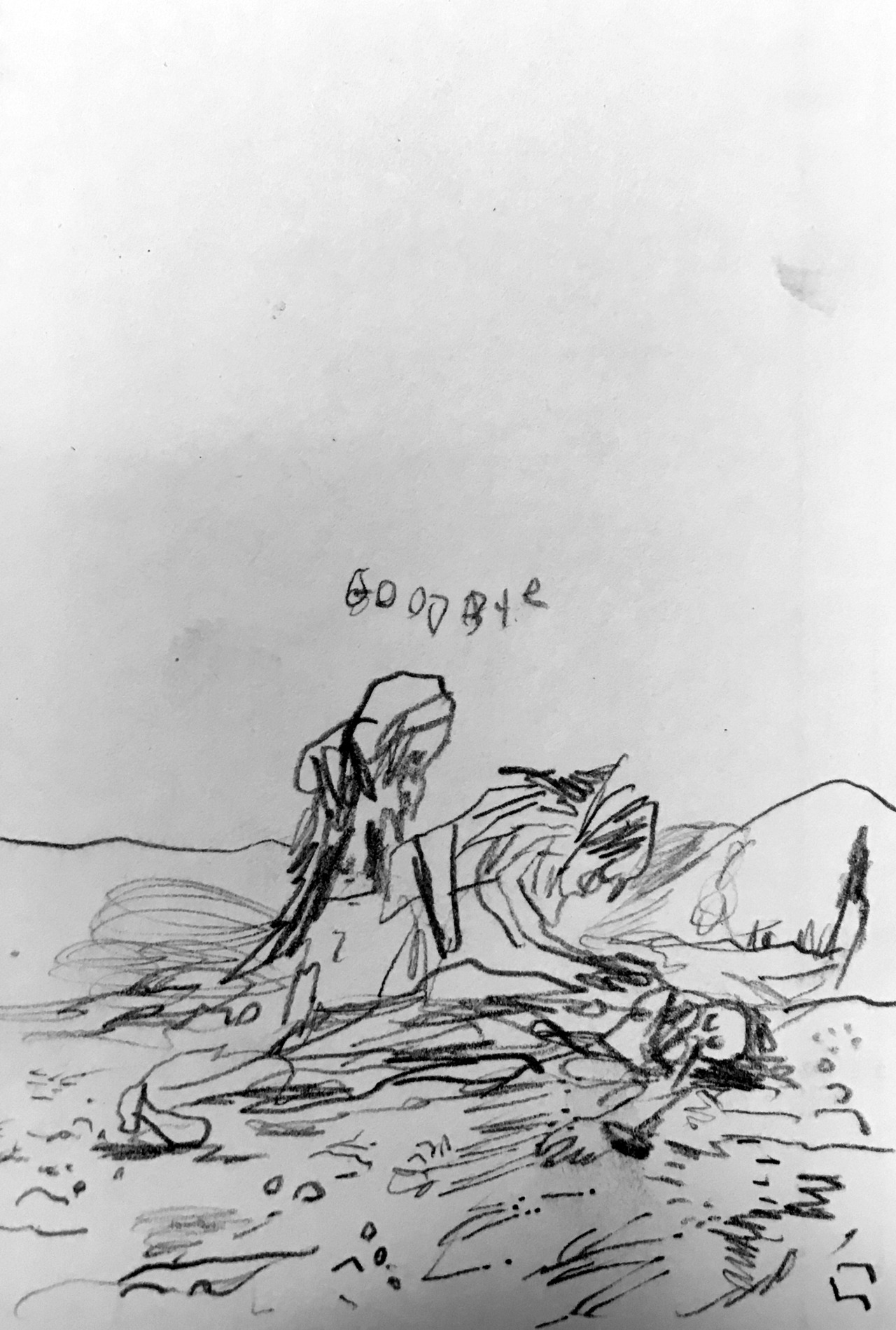 MEDZ YEGHERN Drawing the Armenian Genocide (drawing the Armenian