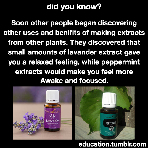 xkn:aamm:education:Learn More about Young Living Essential...