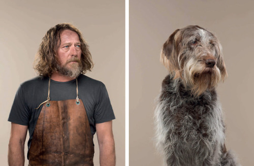 itscolossal:Uncanny Resemblances Between Classic Dog Breeds and...