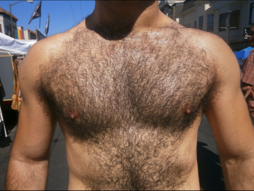 Hairy Men Heaven