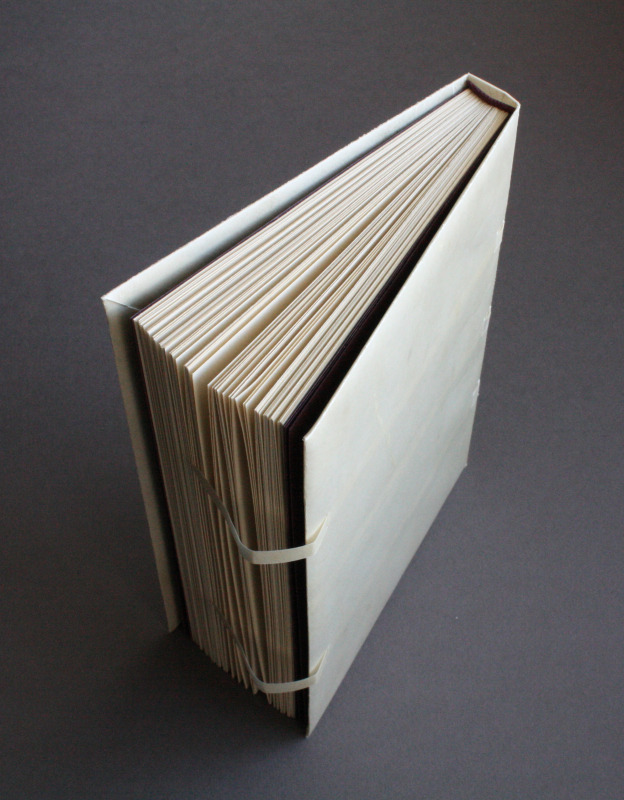 V FOR BOOKS - a bookbinding blog — Making a limp vellum binding, or, a ...