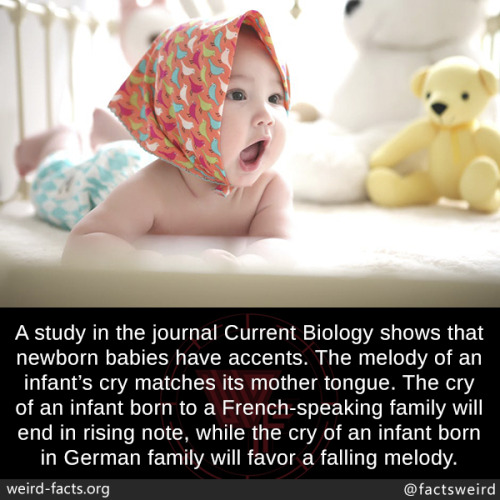 study newborn accent infant tongue