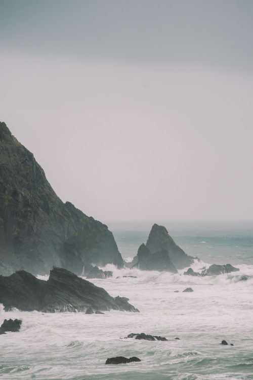 rhiannahoward:Oregon Coast II