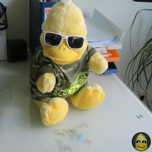 bigbirdbeckum