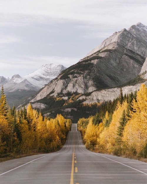 different-landscapes:Alberta, Canada  Photo by Tanner Stewart